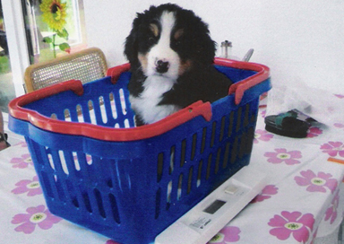 Keytanos 5 weeks